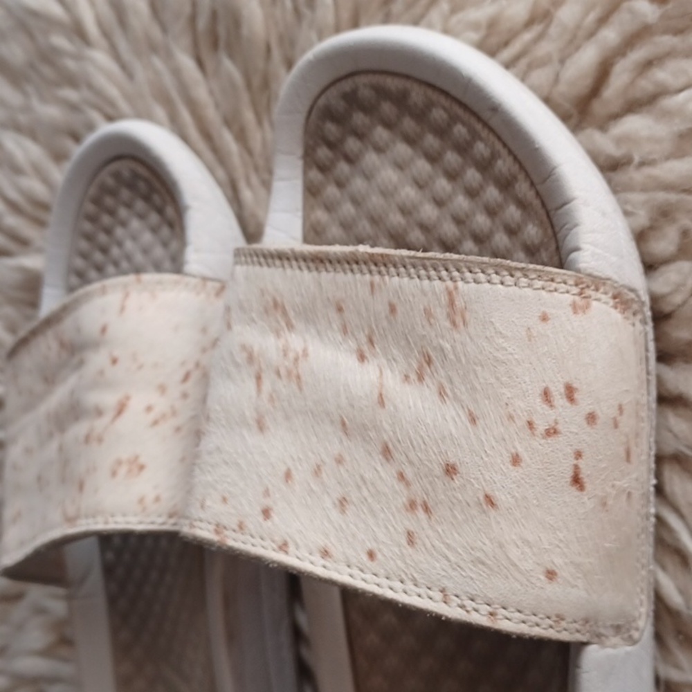 Apl Slides - image 2